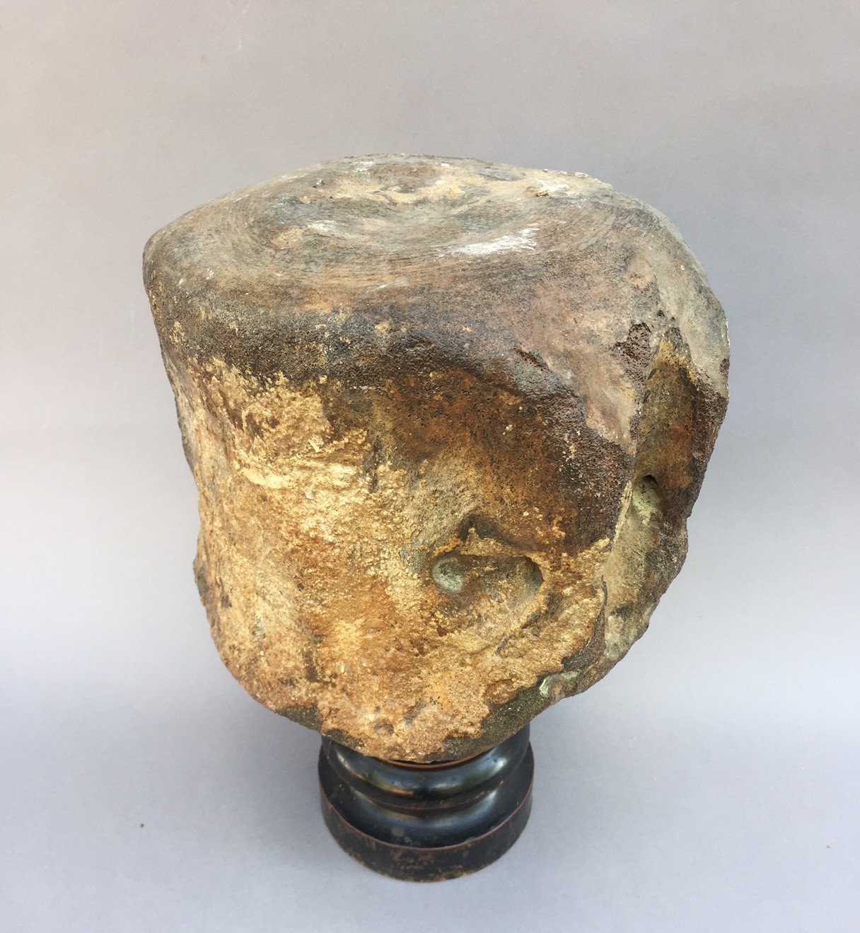 Rare large fossil vertebra. Personally, have I not yet identified the ...