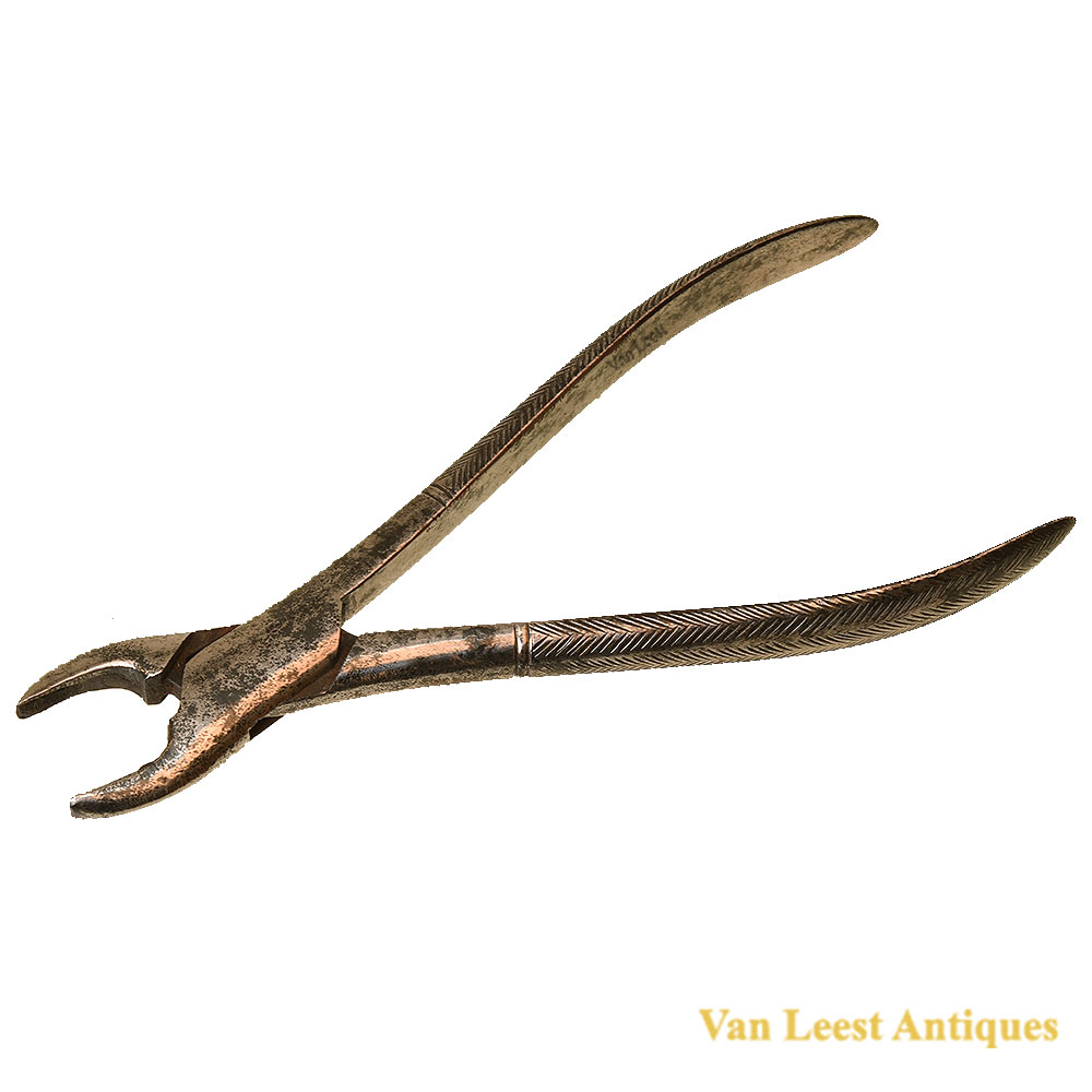 Extraction forceps, signed P. Tolloni, c. 1820