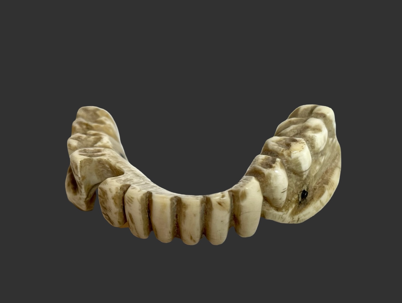 Bone-carved denture, last third of the 18th century.