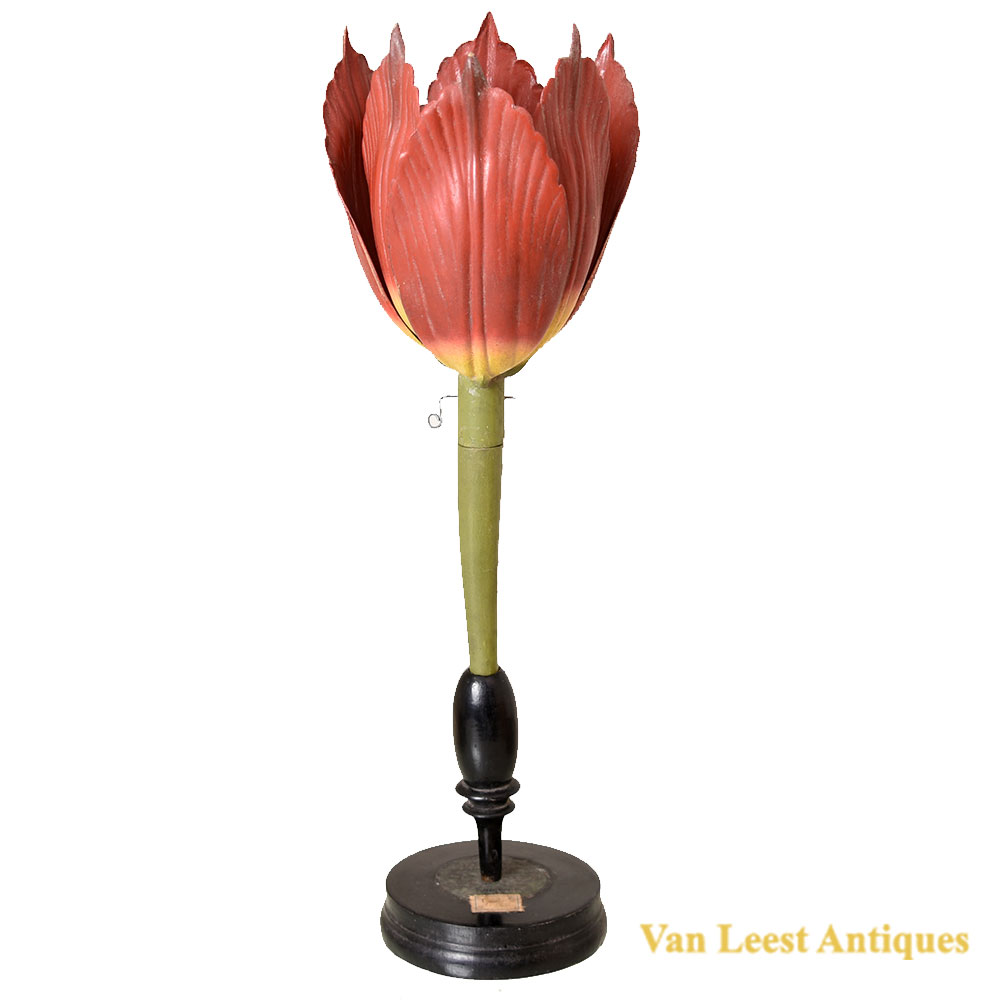 Brendel tulip model, c. 1880