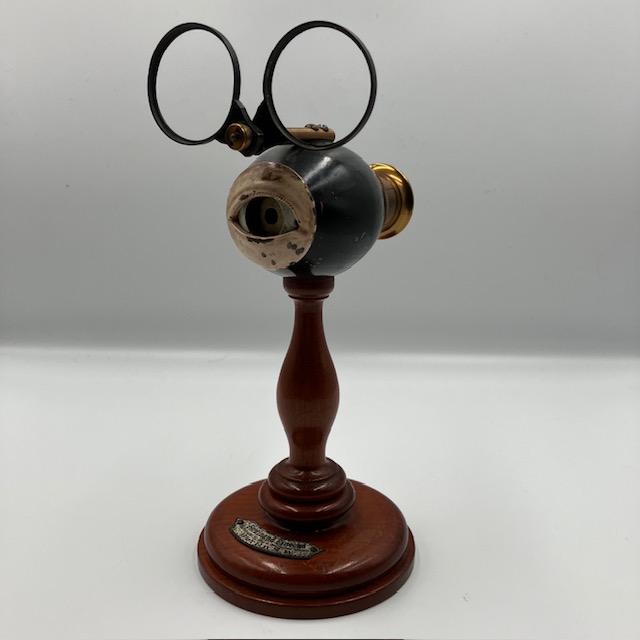 A ca. 1860 Ferdinand Ernecke optical eye model