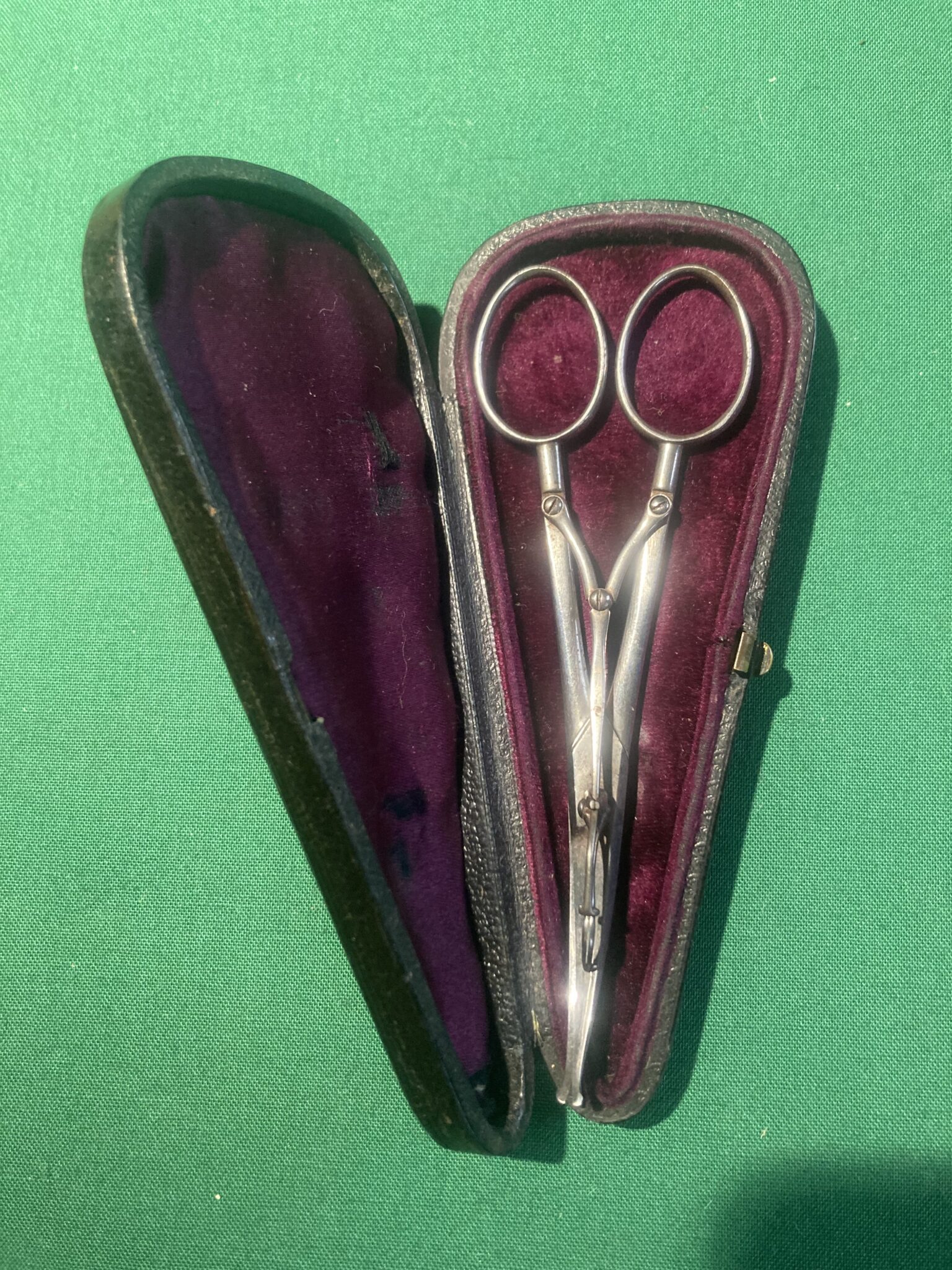 A Pair of Skin Grafting Scissors by Weiss